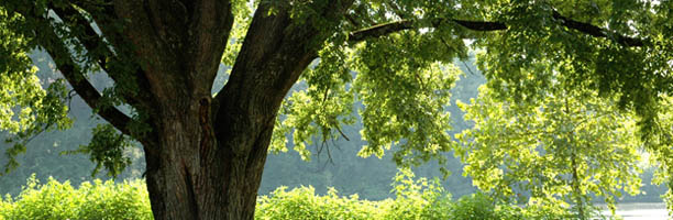 Our Mission Header